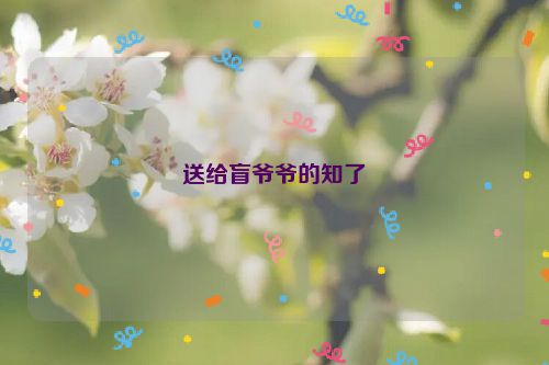 送给盲爷爷的知了