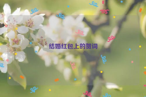 结婚红包上的贺词
