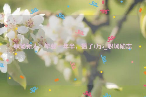 职场新人：毕业一年半，攒了1万5_职场励志