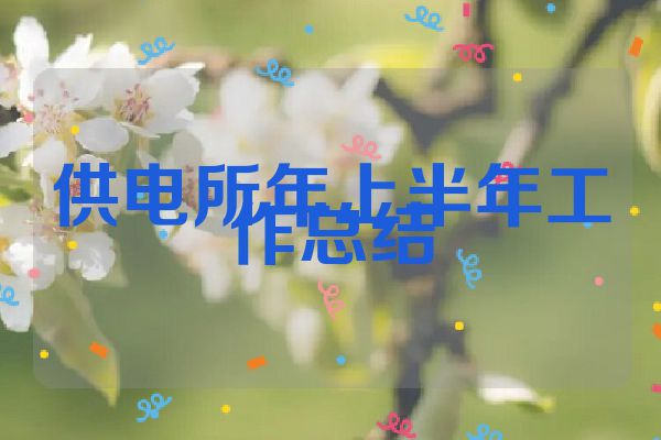 供电所年上半年工作总结