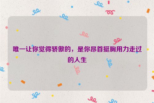唯一让你觉得骄傲的，是你昂首挺胸用力走过的人生