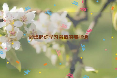 能燃起你学习激情的那些话