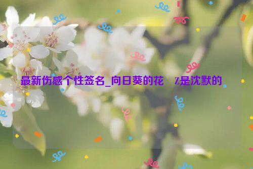 最新伤感个性签名_向日葵的花�Z是沈默的��