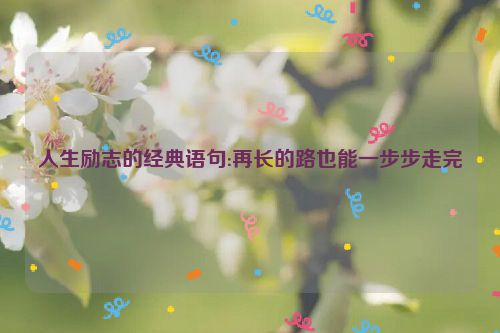 人生励志的经典语句:再长的路也能一步步走完