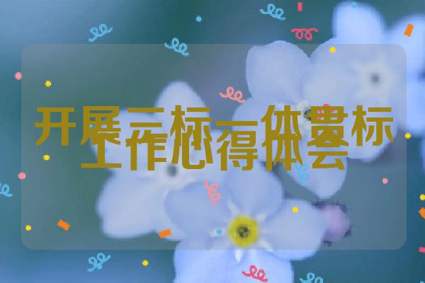 开展三标一体贯标工作心得体会