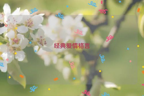 经典爱情格言