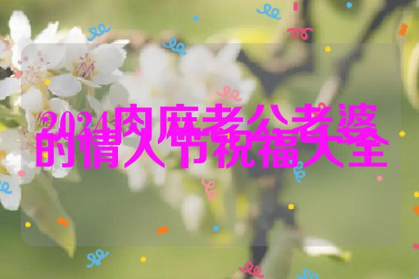 2024肉麻老公老婆的情人节祝福大全