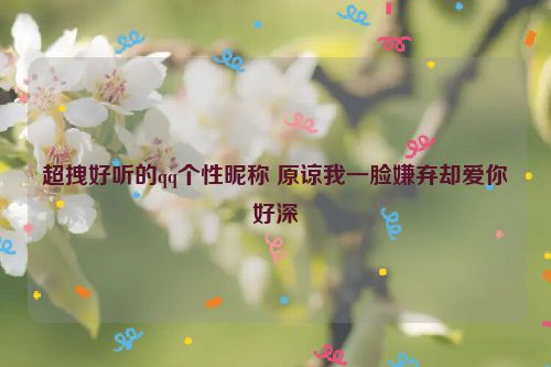 超拽好听的qq个性昵称 原谅我一脸嫌弃却爱你好深