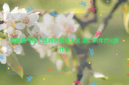 超拽霸气的个性网名精选大全 范二的年代IQ算什么