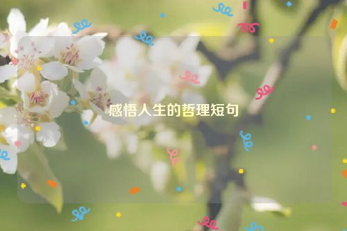 感悟人生的哲理短句