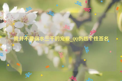 我并不要弱水三千的宠爱_QQ伤感个性签名