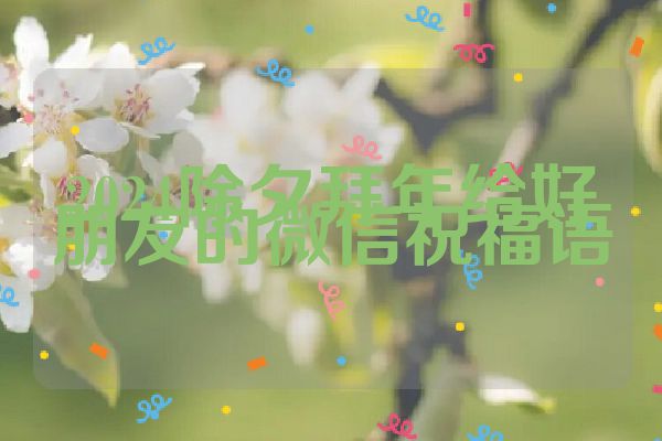2024除夕拜年给好朋友的微信祝福语
