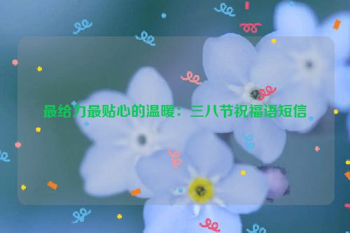 最给力最贴心的温暖：三八节祝福语短信