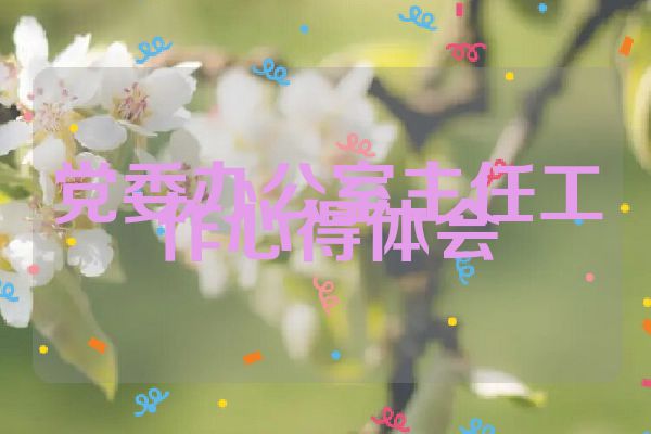 党委办公室主任工作心得体会