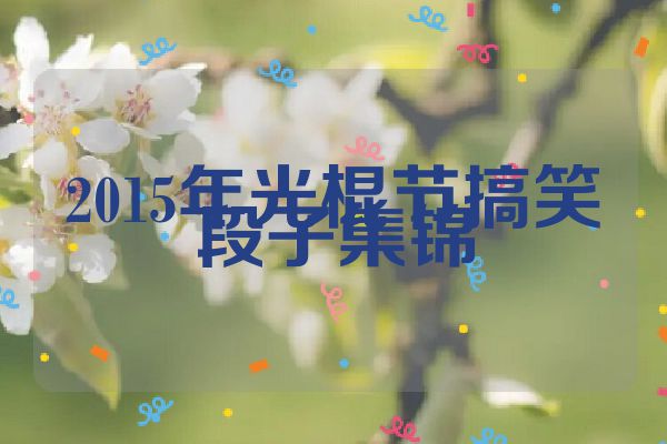 2015年光棍节搞笑段子集锦
