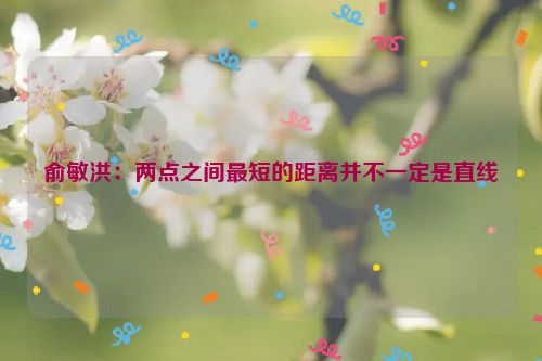 俞敏洪：两点之间最短的距离并不一定是直线