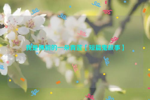 我是佛前的一朵青莲【短篇鬼故事】
