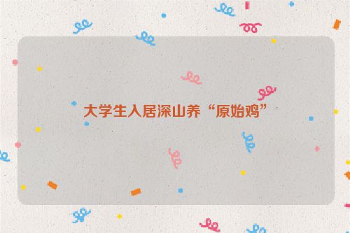 大学生入居深山养“原始鸡”