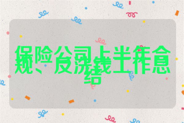 保险公司上半年合规、反洗钱工作总结