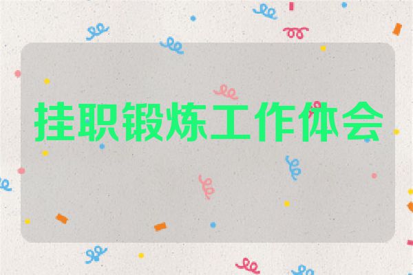 挂职锻炼工作体会
