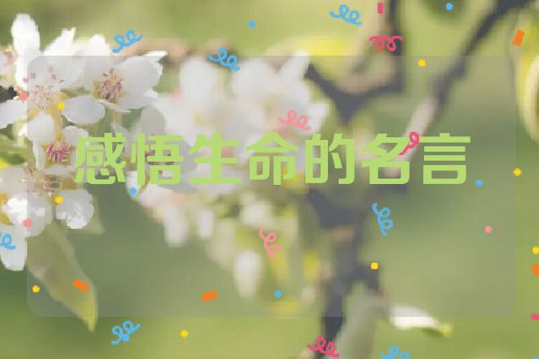 感悟生命的名言