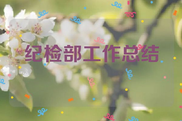 纪检部工作总结