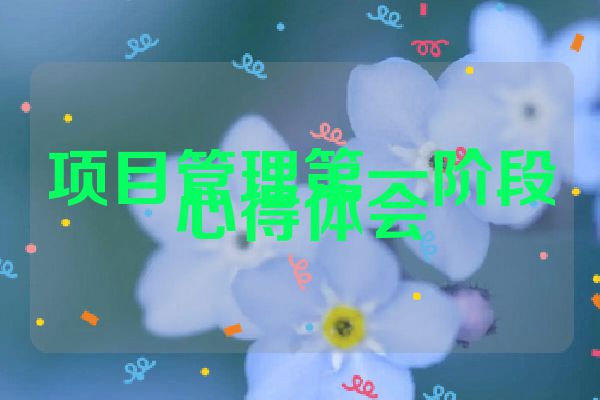 项目管理第一阶段心得体会