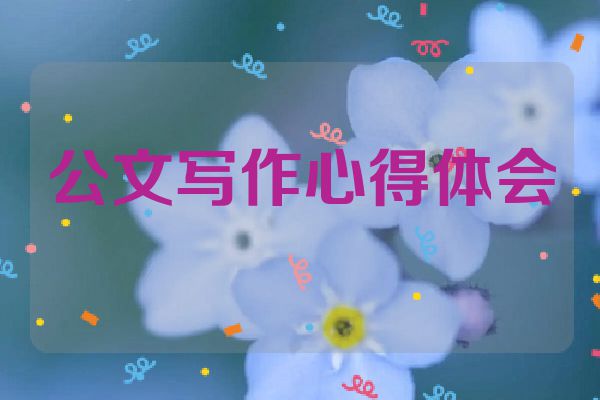 公文写作心得体会