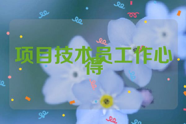项目技术员工作心得