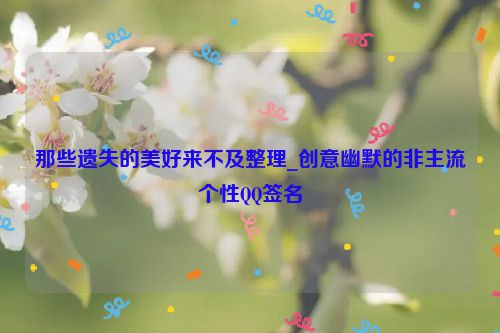那些遗失的美好来不及整理_创意幽默的非主流个性QQ签名
