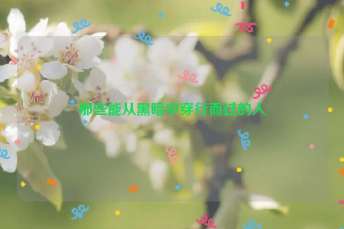 那些能从黑暗中穿行而过的人