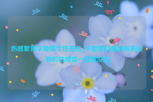 伤感繁体字爱情个性签名_不管我们相距有多远 我们的感情一直都没变
