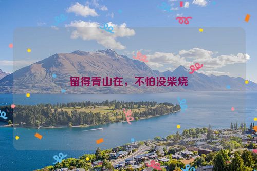 留得青山在，不怕没柴烧