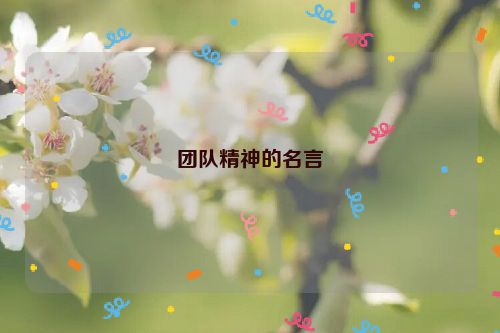 团队精神的名言