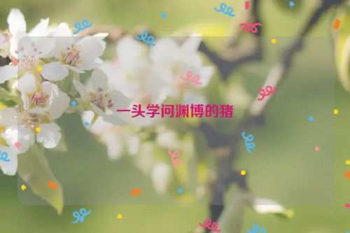 一头学问渊博的猪
