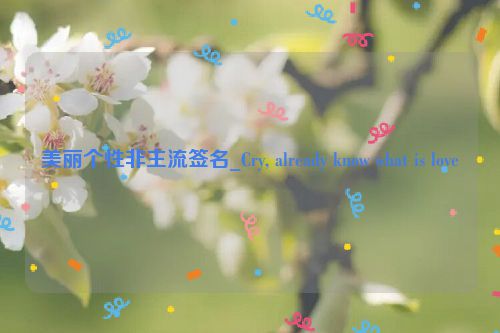 美丽个性非主流签名_Cry, already know what is love