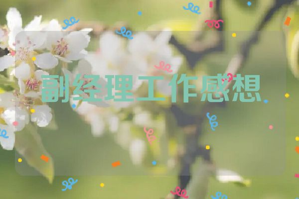副经理工作感想