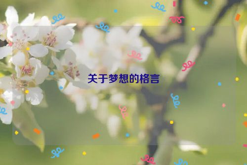 关于梦想的格言