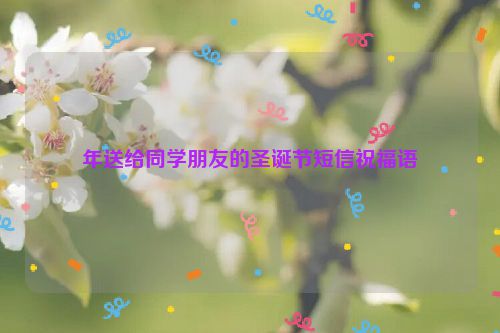年送给同学朋友的圣诞节短信祝福语