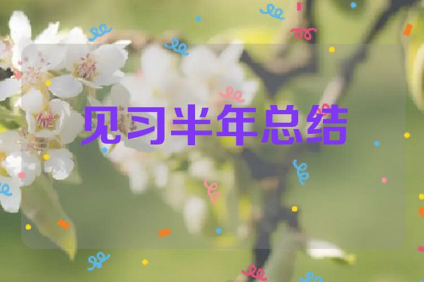 见习半年总结