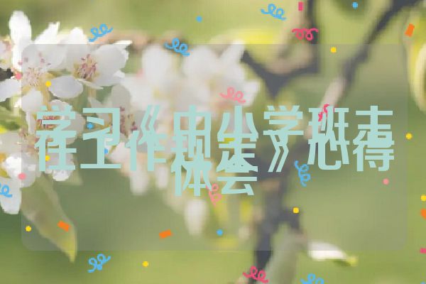 学习《中小学班主任工作规定》心得体会