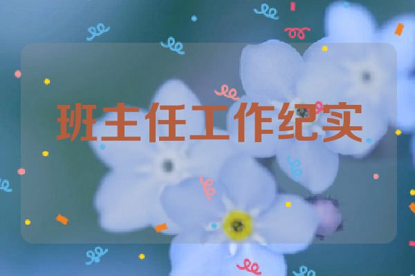 班主任工作纪实
