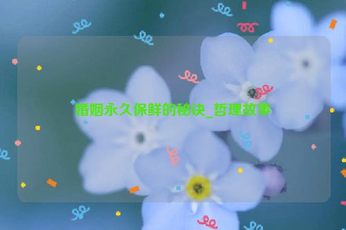 婚姻永久保鲜的秘诀_哲理故事