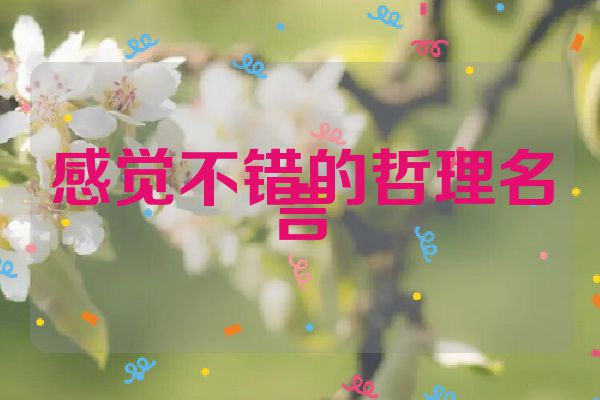 感觉不错的哲理名言
