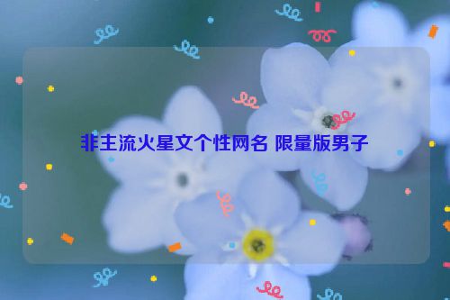 非主流火星文个性网名 限量版男子