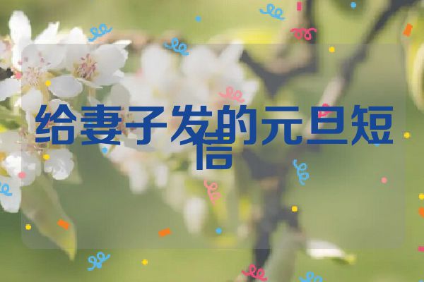 给妻子发的元旦短信