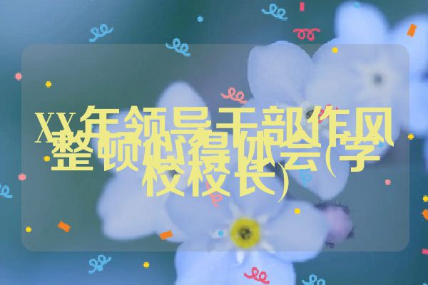 XX年领导干部作风整顿心得体会(学校校长)