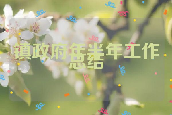 镇政府年半年工作总结