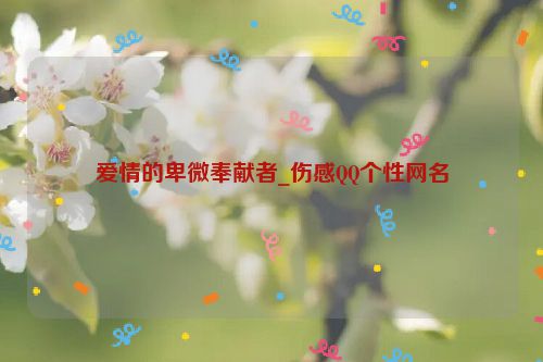 爱情的卑微奉献者_伤感QQ个性网名