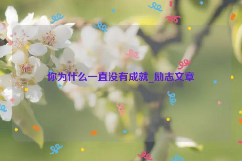 你为什么一直没有成就_励志文章